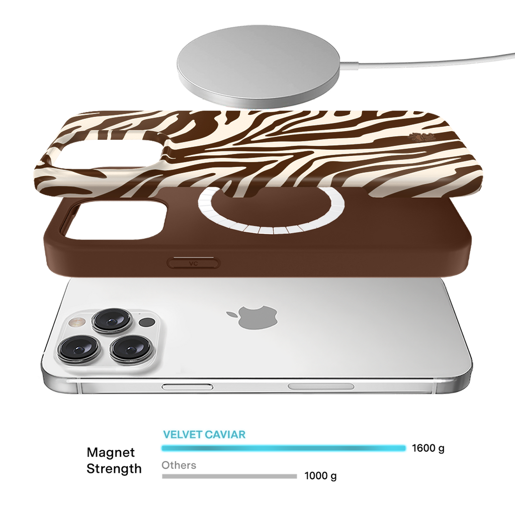 Coco Zebra iPhone Case
