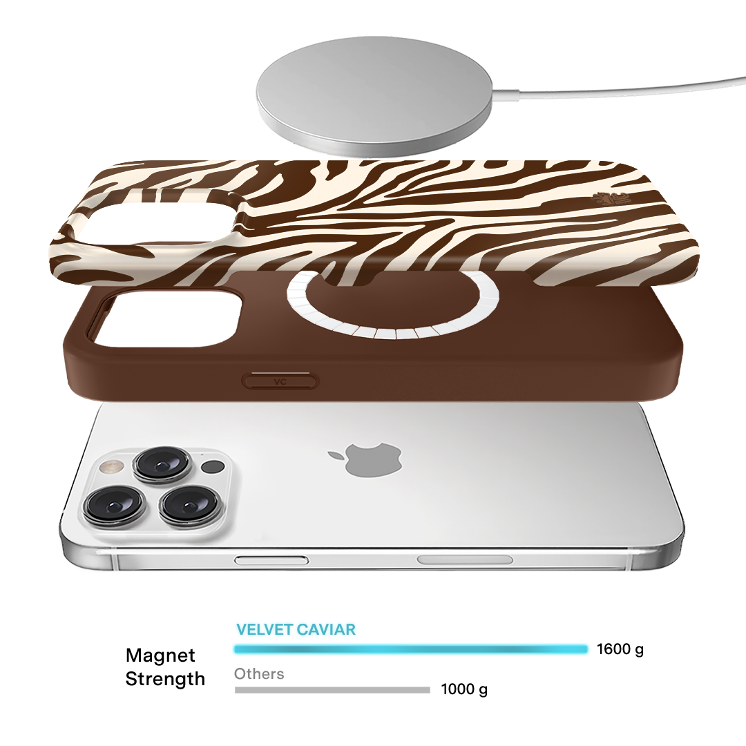 Coco Zebra iPhone Case