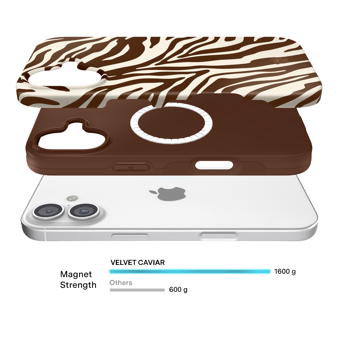 Coco Zebra iPhone Case