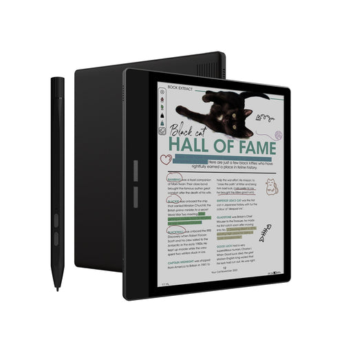 Black Friday Sale--Bigme Pocketnote Color B751C