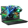 SAGER NP7551N (Clevo V350WNNQ) Gaming Laptop