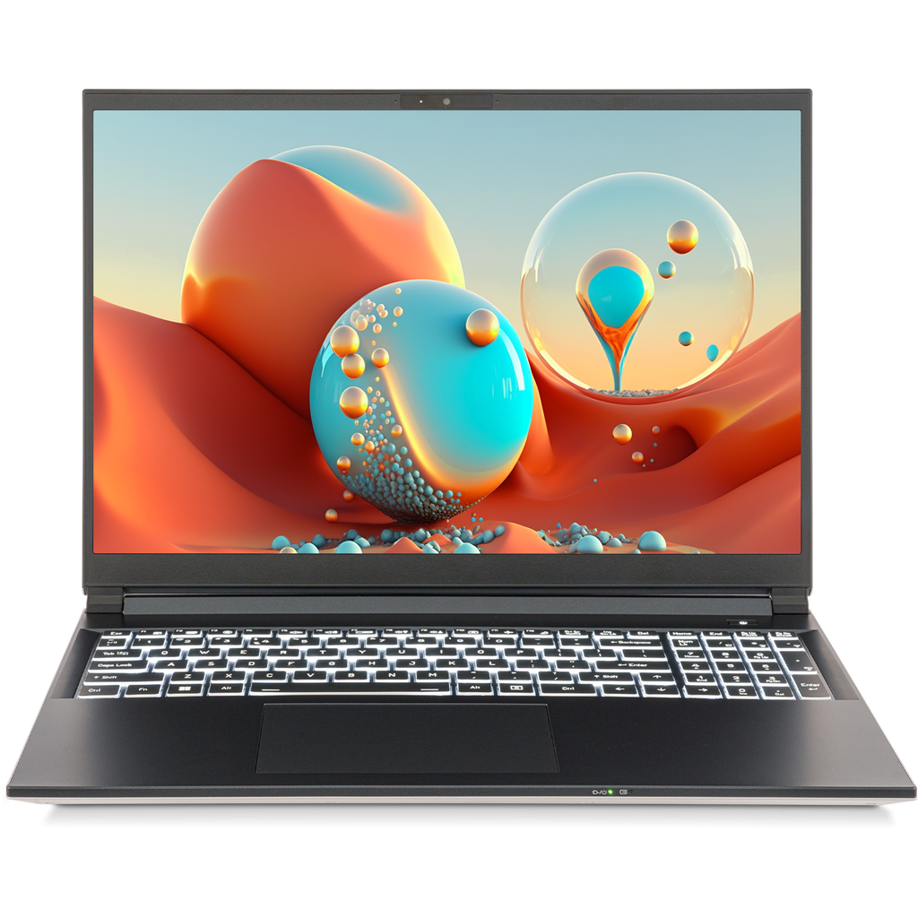 SAGER NP3561U (Clevo V560TU) Laptop