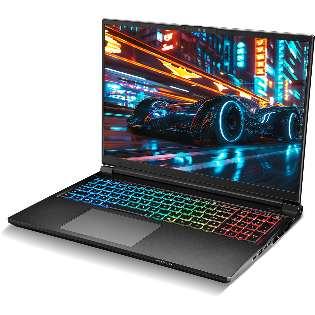 SAGER NP9560R (Clevo X560WNR-G) Gaming Laptop