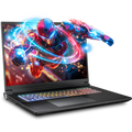 SAGER NP9580T (Clevo X580WNT-G) Gaming Laptop