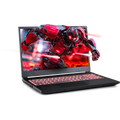 SAGER NP5251M (Clevo V255RNM) Gaming Laptop