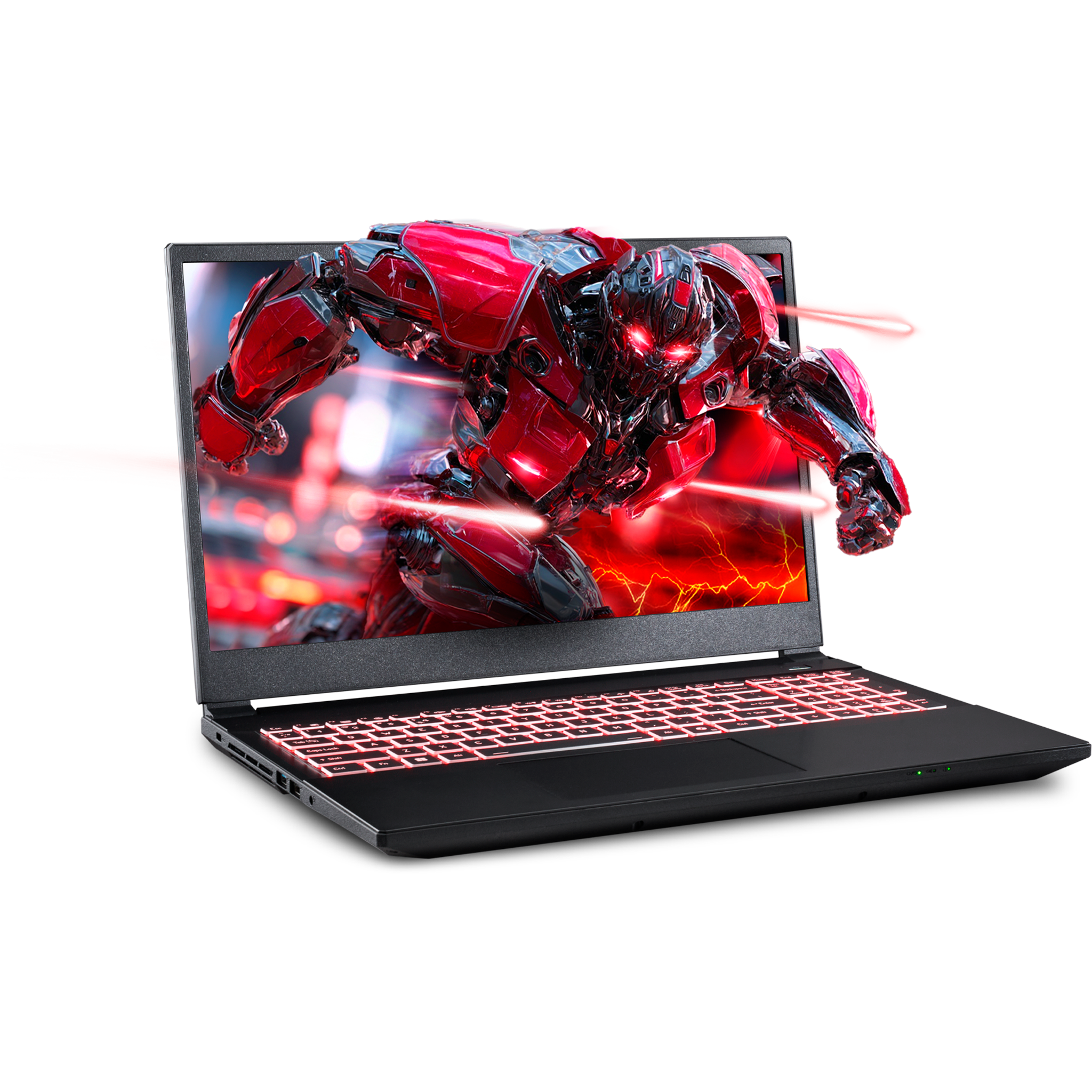 SAGER NP5251M (Clevo V255RNM) Gaming Laptop