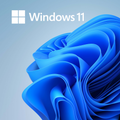 Windows 11
