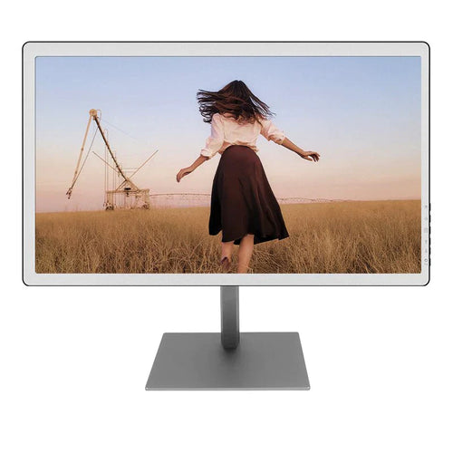 B251 - Bigme 25-inch Color E INK Monitor with Kaleido 3